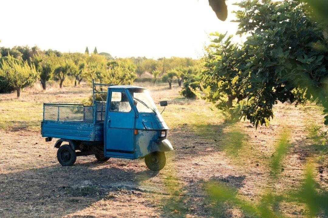 Casa In Campagna ⋅ Forimia Villa San Vito dei Normanni Eksteriør billede